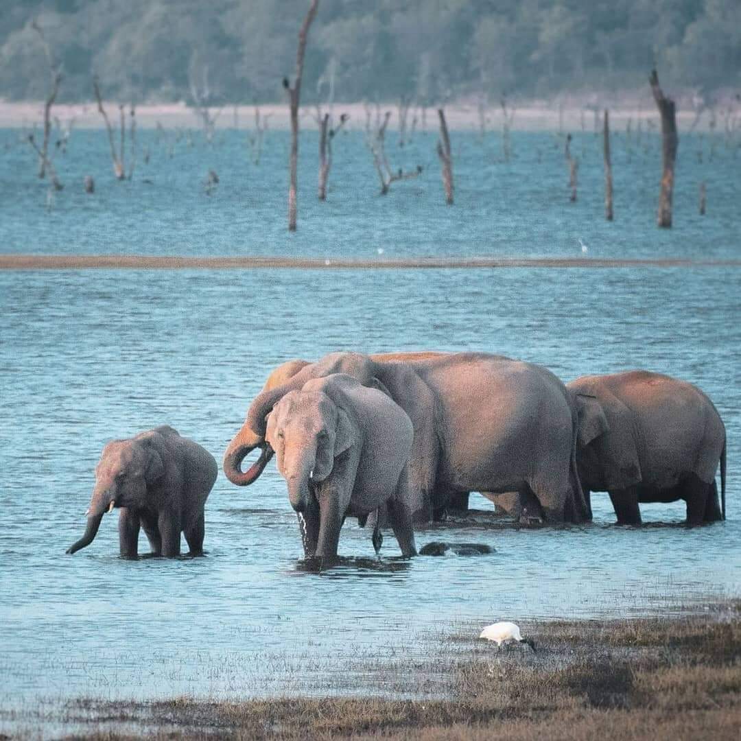 WhatsApp Image 2022-05-22 at 9.46.38 PM